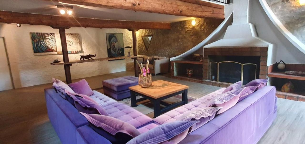 Gite De 420 Metres Carres Dans Chateau L'Ange Au Violon Jusqu'A 13 Couchages Conques-sur-Orbiel 외부 사진