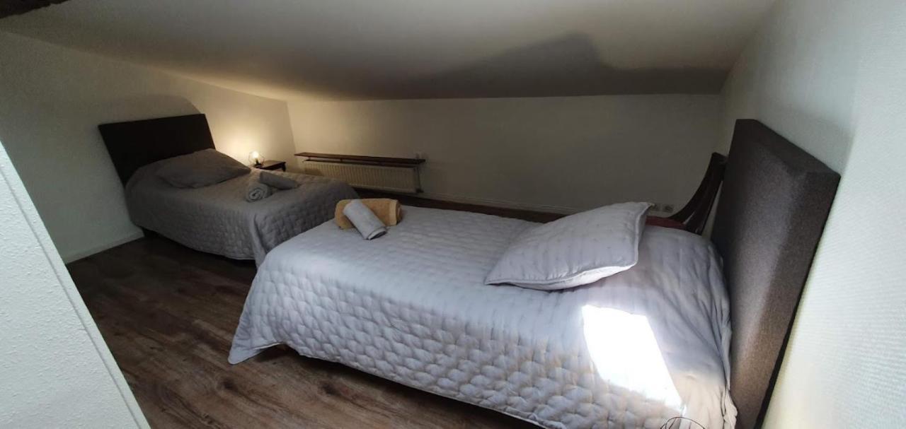 Gite De 420 Metres Carres Dans Chateau L'Ange Au Violon Jusqu'A 13 Couchages Conques-sur-Orbiel 외부 사진