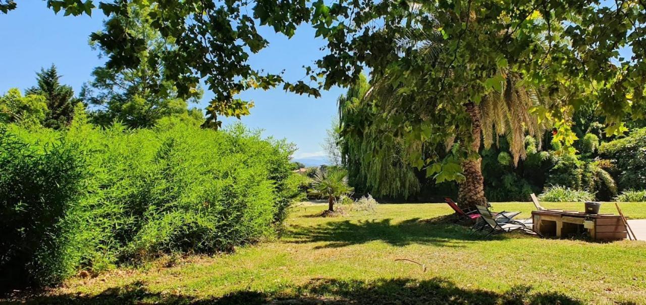 Gite De 420 Metres Carres Dans Chateau L'Ange Au Violon Jusqu'A 13 Couchages Conques-sur-Orbiel 외부 사진