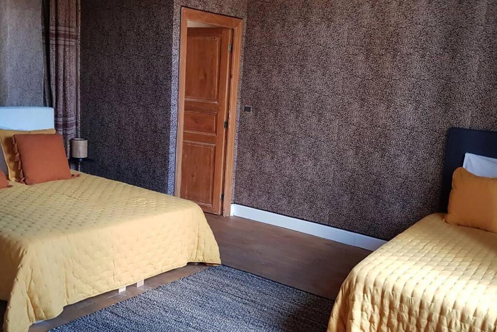 Gite De 420 Metres Carres Dans Chateau L'Ange Au Violon Jusqu'A 13 Couchages Conques-sur-Orbiel 외부 사진